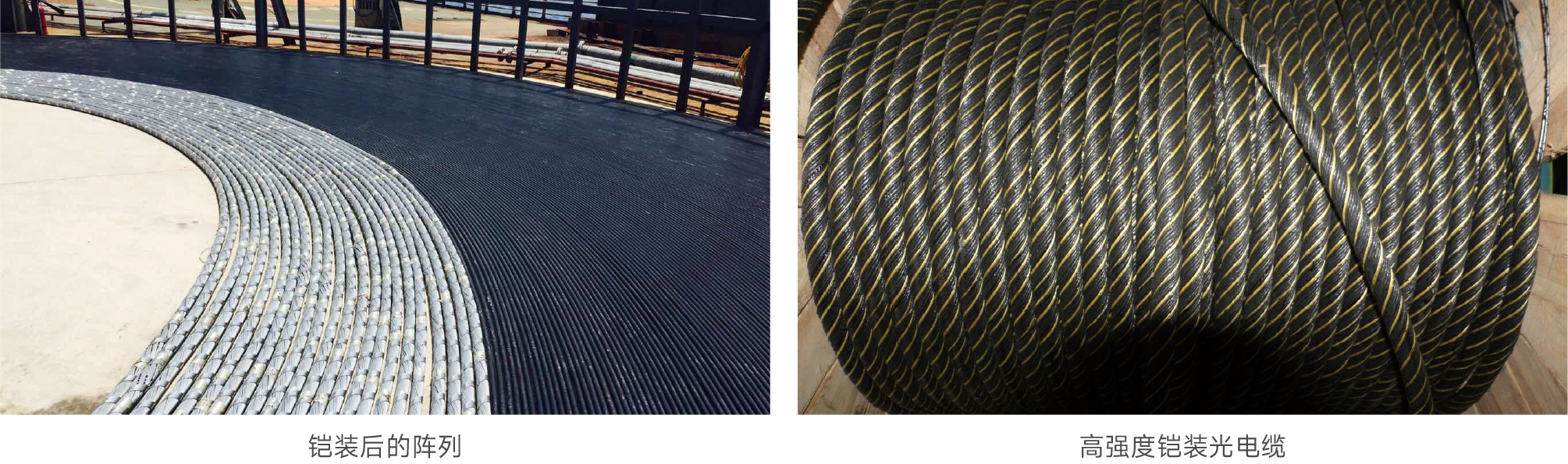 光纖水聽器海底陣列系統(tǒng)